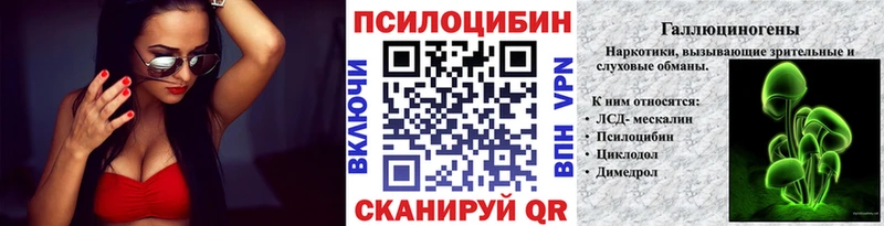 Псилоцибиновые грибы Psilocybine cubensis  Егорьевск 